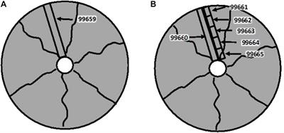 Post irradiation examination of a uranium-zirconium hydride TRIGA fuel element